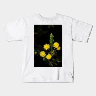 Hedge Wattle Kids T-Shirt